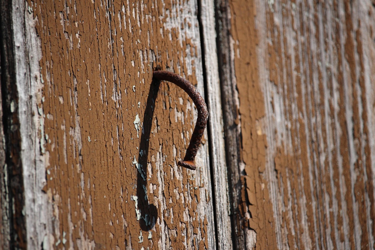 ¿Qué Nos Dicen Los Datos Atípicos En Un Estudio De Mercado?